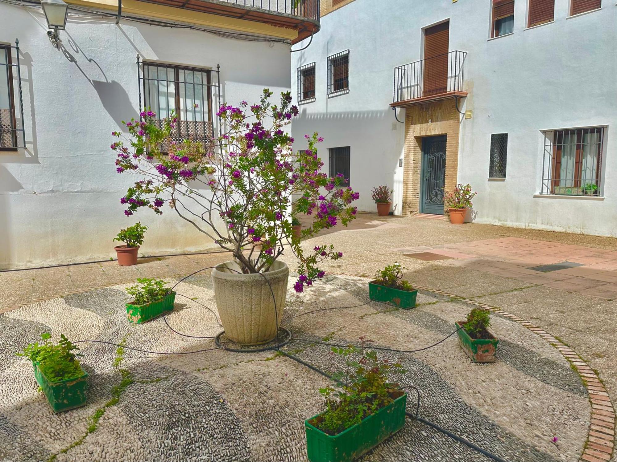 La Sacristia De San Pablo Apartment Córdoba Exterior foto